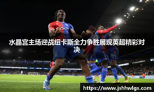水晶宫主场迎战纽卡斯全力争胜展现英超精彩对决